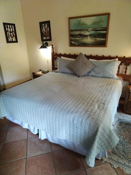 Bed and Breakfast Buona Notte à Johannesbourg Extérieur photo